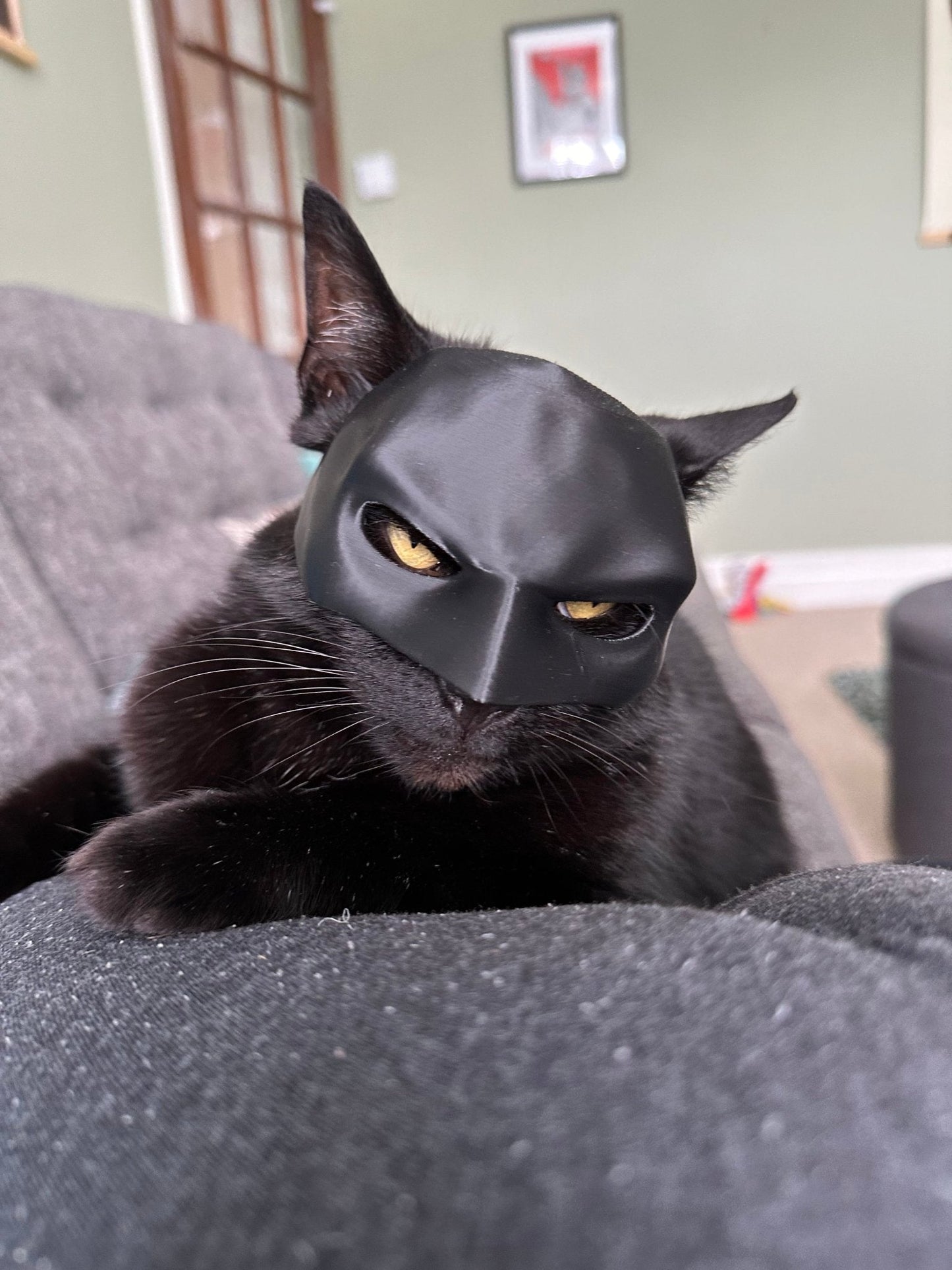 Bat Cat Cosplay Mask – Funny Cat Costume for TikTok, Halloween, Pet Cosplay, Hero Villain Dress Up