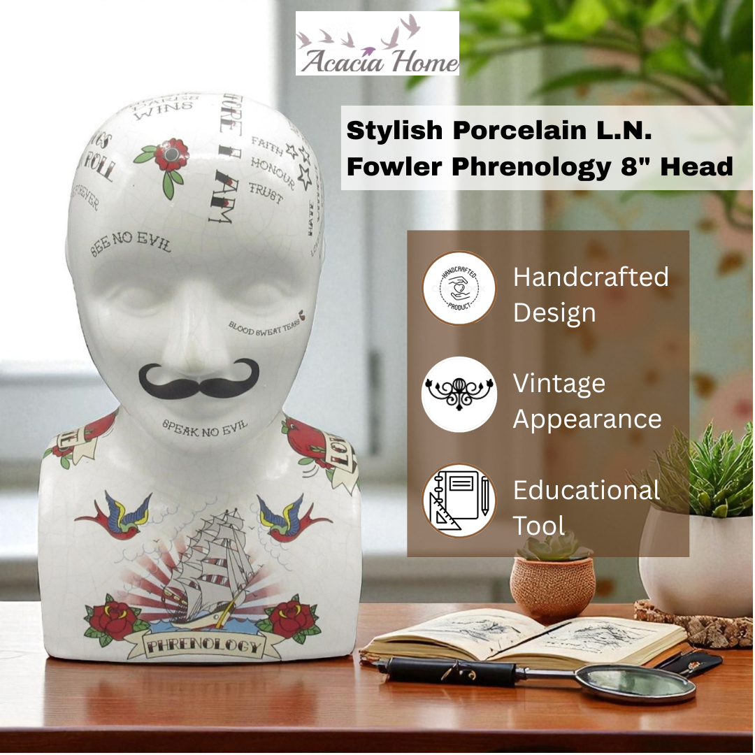 8" PHRENOLOGY HEAD