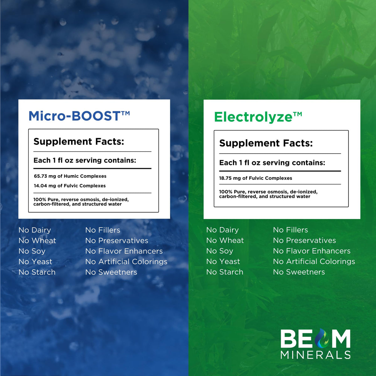 BEAM Minerals Micro-Boost & Electrolyze – Bioavailable Electrolyte & Micronutrient Set
