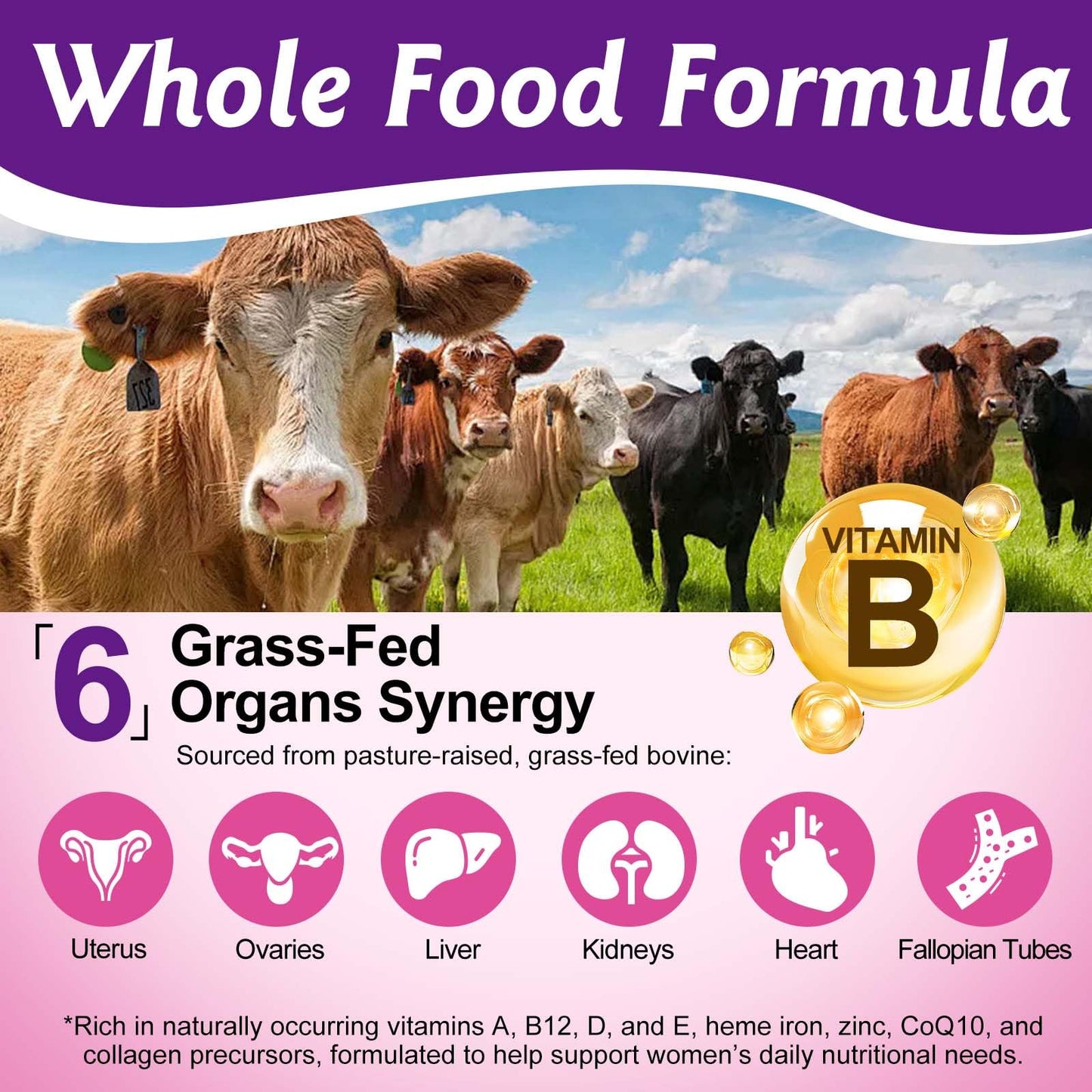 Beef Organ Supplement for Women – Grass-Fed Liver, Uterus & Ovaries | Hormone Balance, Energy, Immunity | 60 Capsules