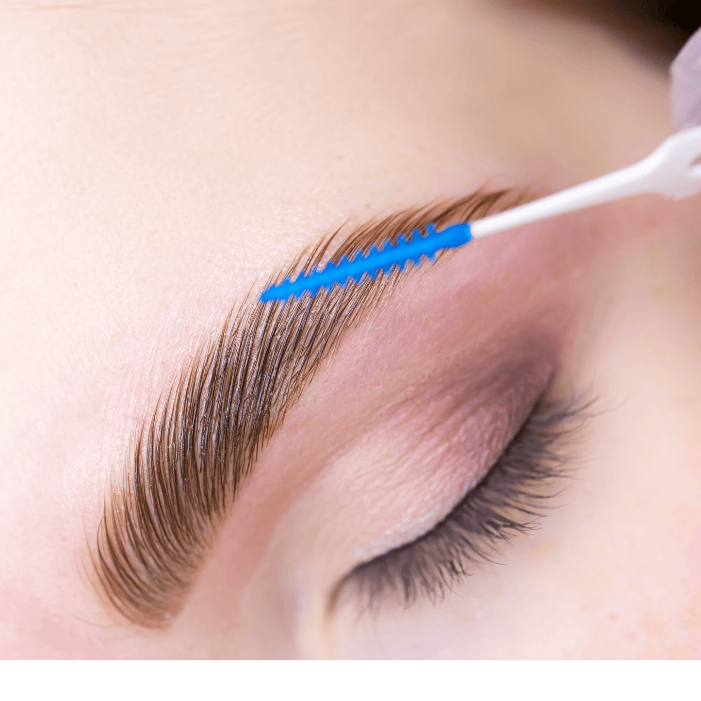Beginners Brow Lamination Course Editable Training Manual