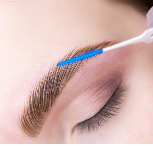 Beginners Brow Lamination Course Editable Training Manual