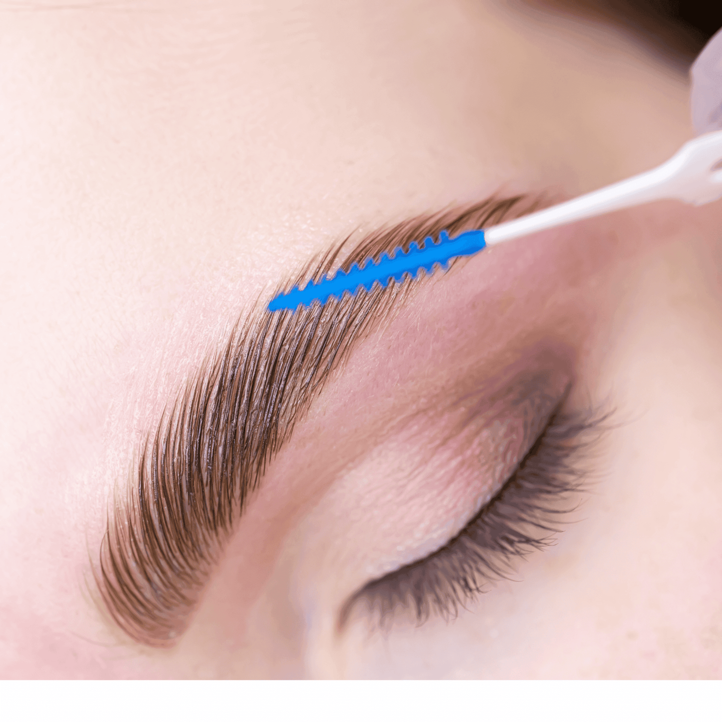 Brow Lamination, Waxing & Tinting Course Beginners 3 Course Bundle