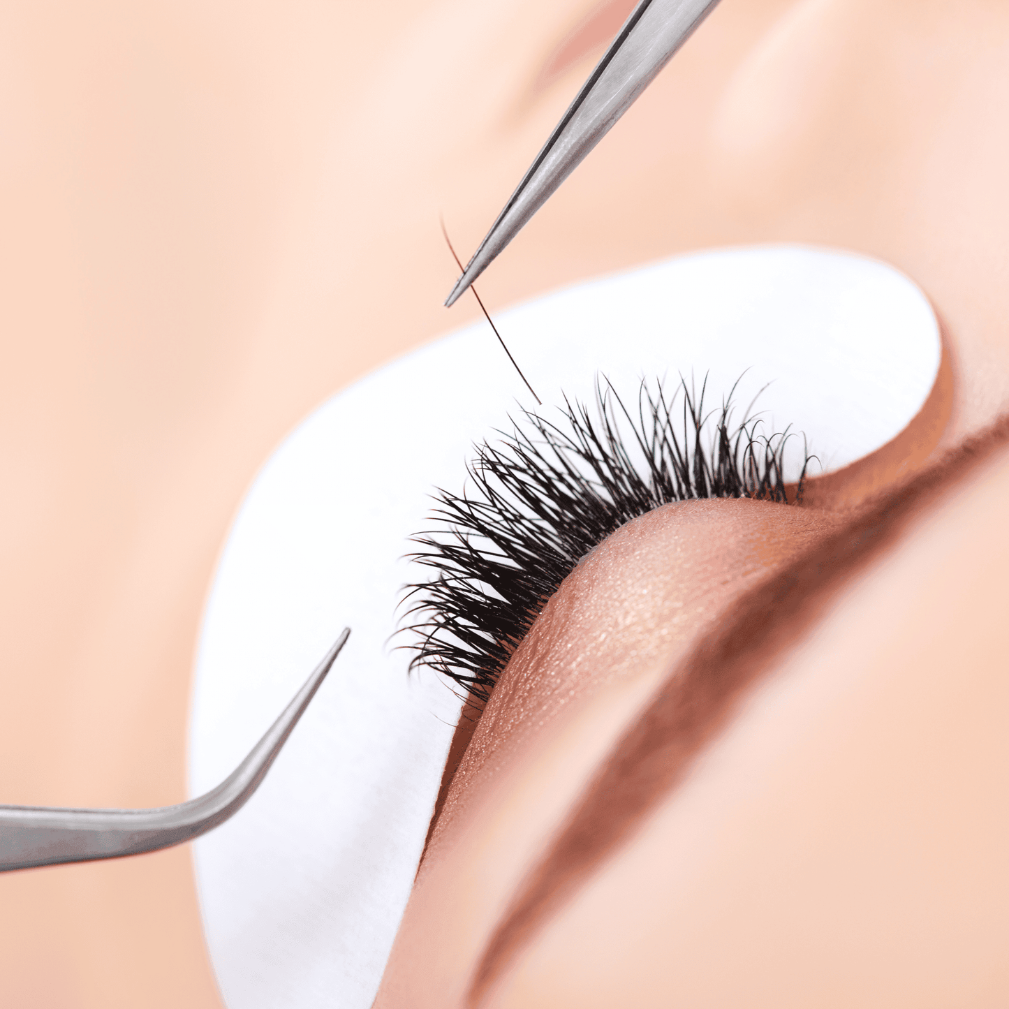 Beginners Classic Lash Extension Online Course: Launch Your Lash Career