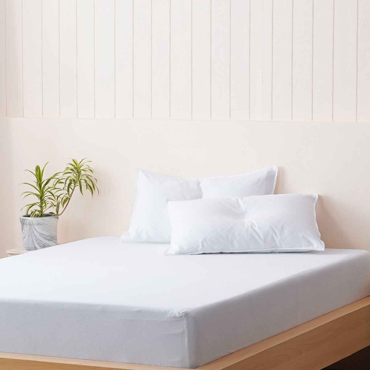 Bella Flanellette (Brushed Cotton) - White Fitted Sheet