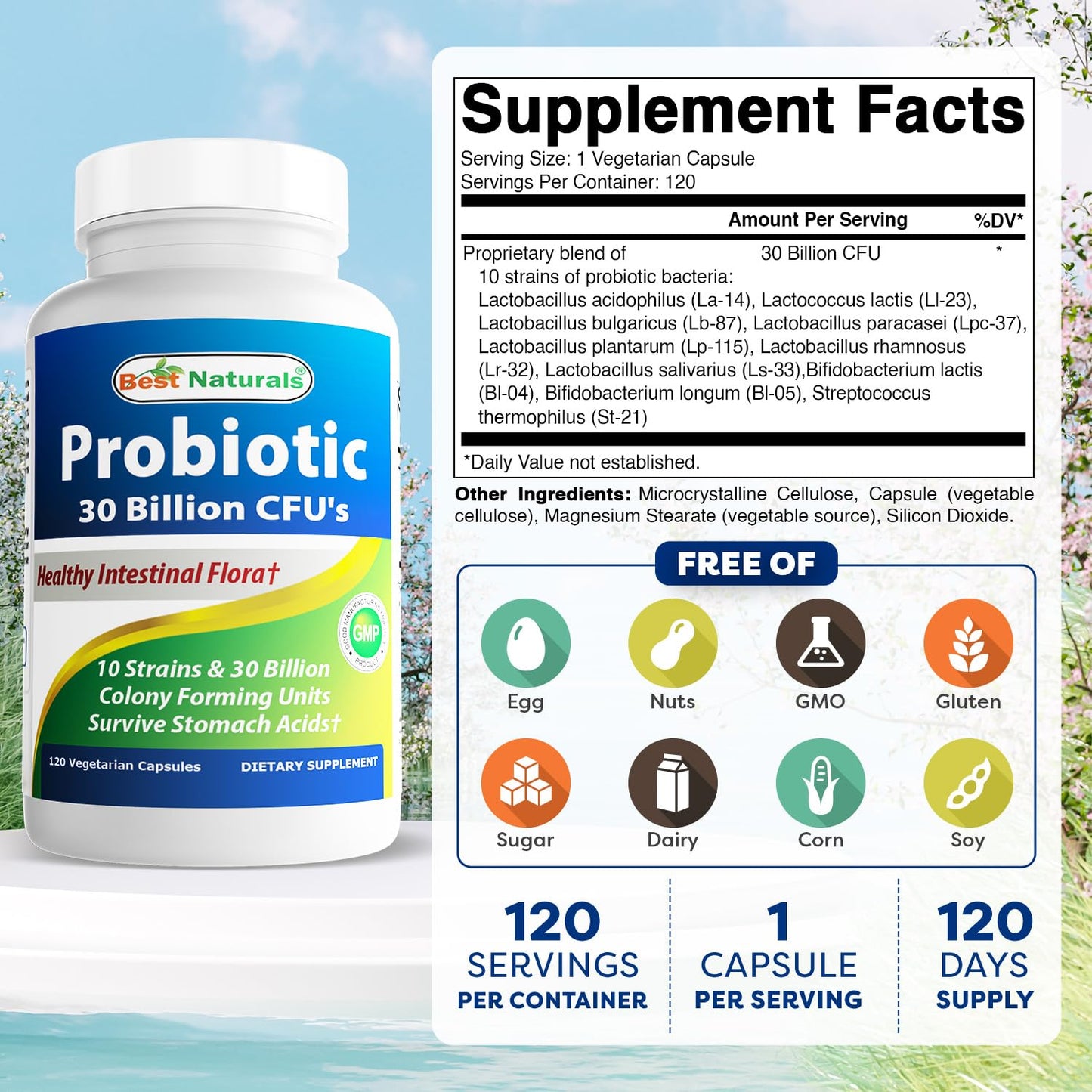 Best Naturals Probiotic 10 Strains – 30 Billion CFU, 120 Veggie Caps (Pack of 3)