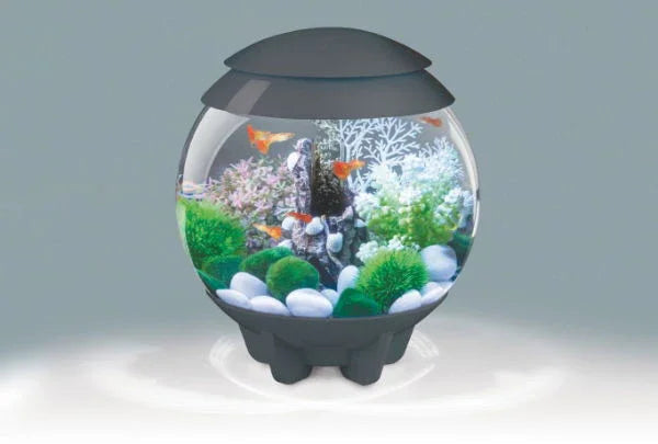 Biorb Halo 15 Multi Coloured Light Grey 15ltr