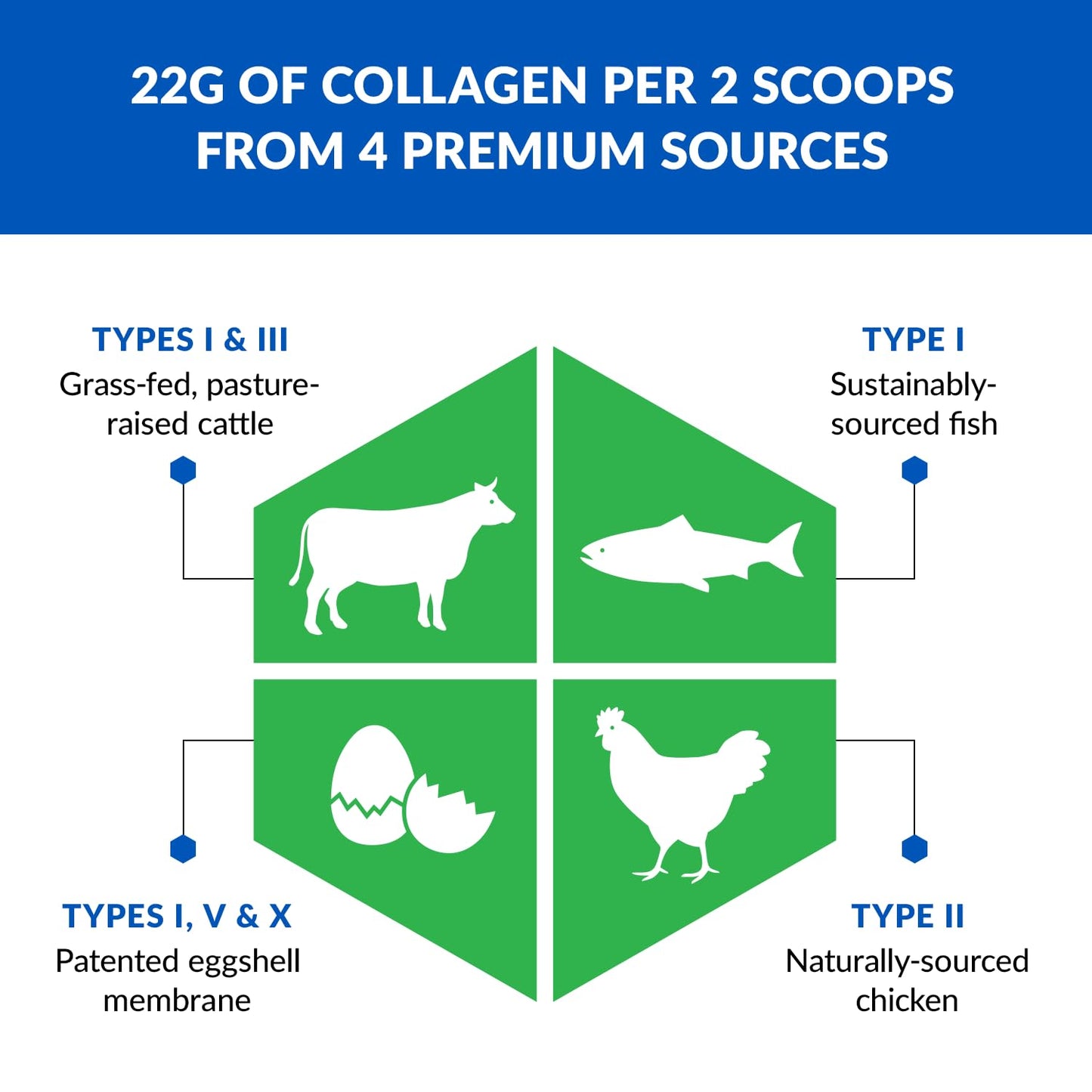 BioTrust Multi Collagen Protein Powder + Keto MCT Oil (Unflavored) – 5 Types I–X & C8 MCT