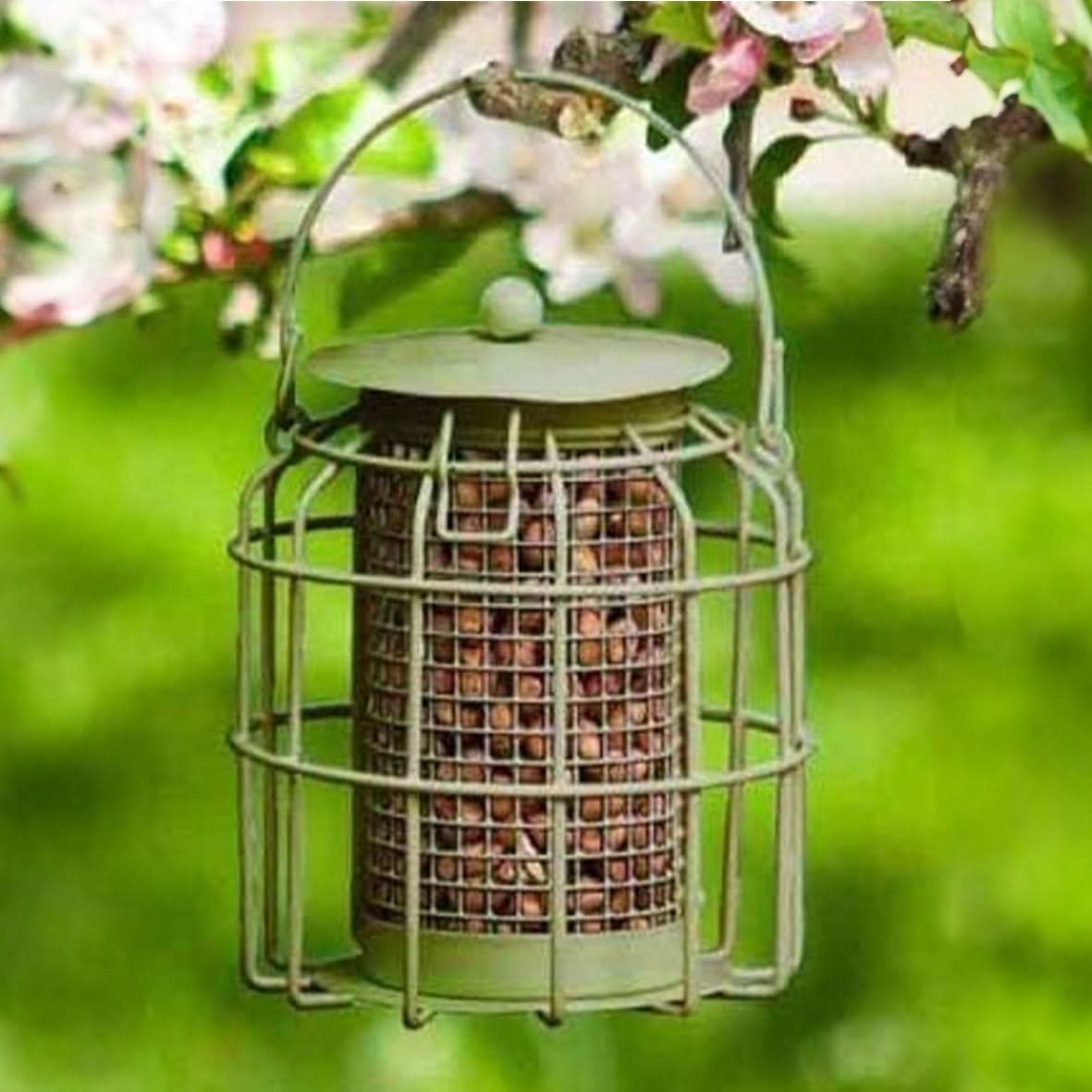 Hanging Bird Peanut Feeder Cage with Squirrel Guard