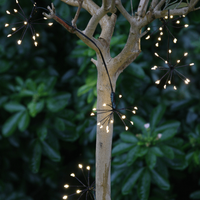 Black Starburst Indoor/Outdoor Battery LED Light Chain