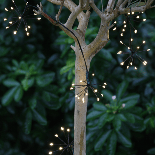 Black Starburst Indoor/Outdoor Battery LED Light Chain