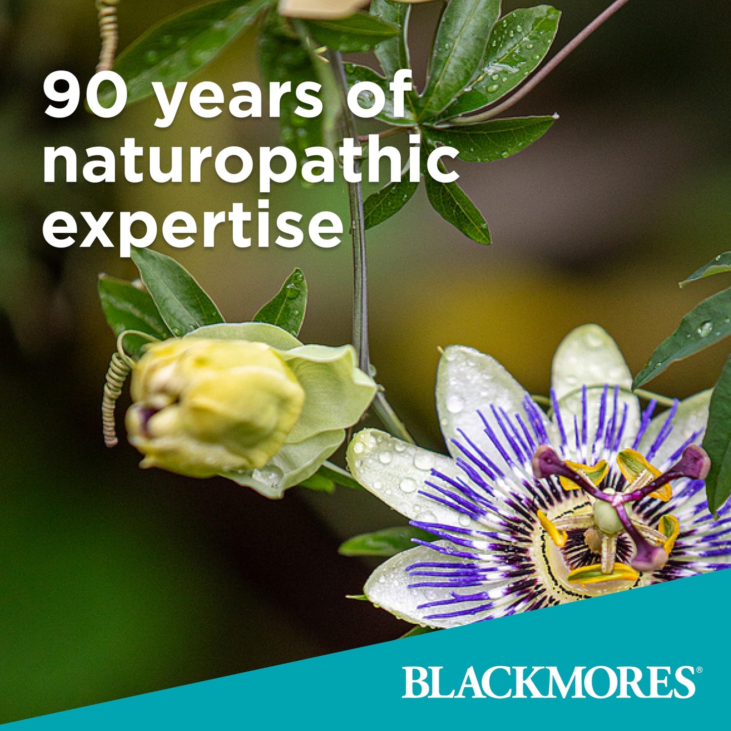Blackmores Bilberry Eye Support Advanced 30 Tablets - Eye Health