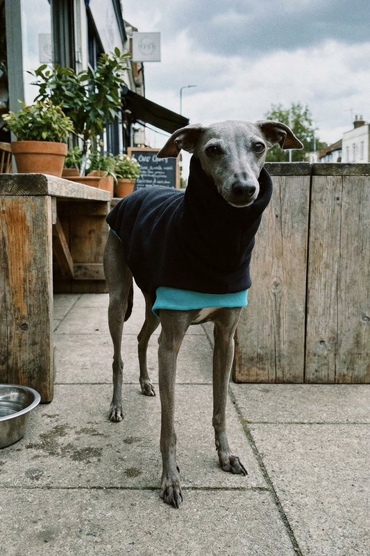 Open-Leg Fleece Vest - Black & Aqua
