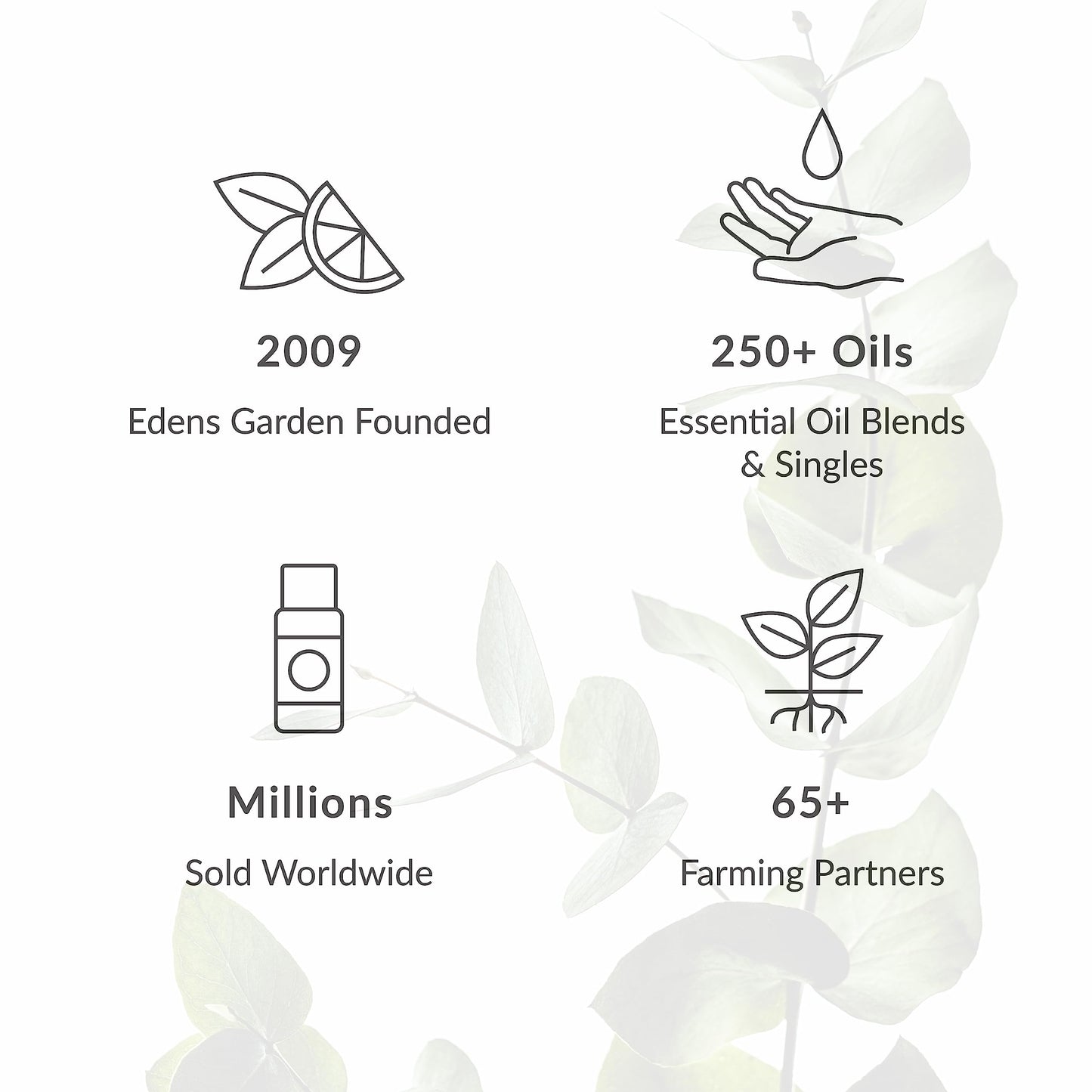 Edens Garden Breath of Fresh Air Essential Oil Blend – 100% Pure, Premium Grade (30 ml)