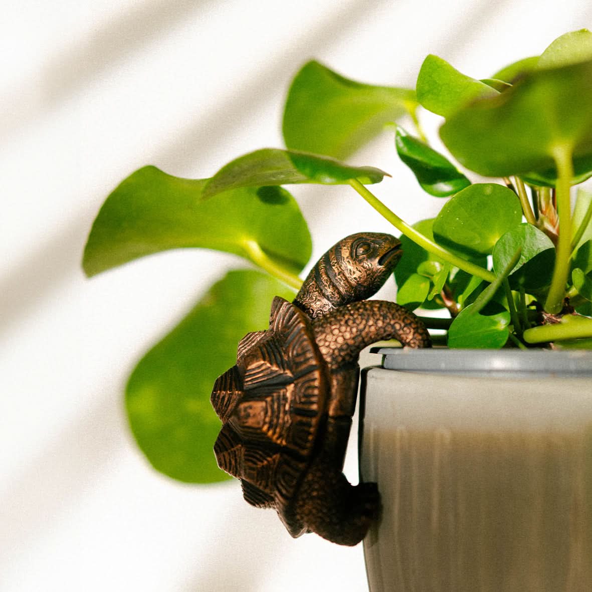 Tortoise Plant Pot Hanger Bronze Effect Resin Ornament 11cm