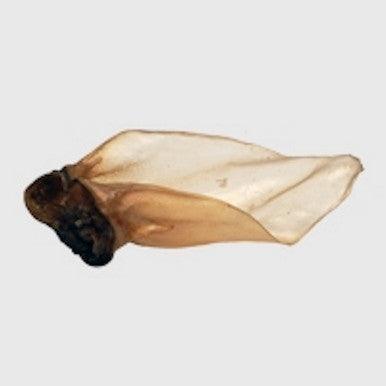 Buffalo Large Ear (with meat) - Case of 50