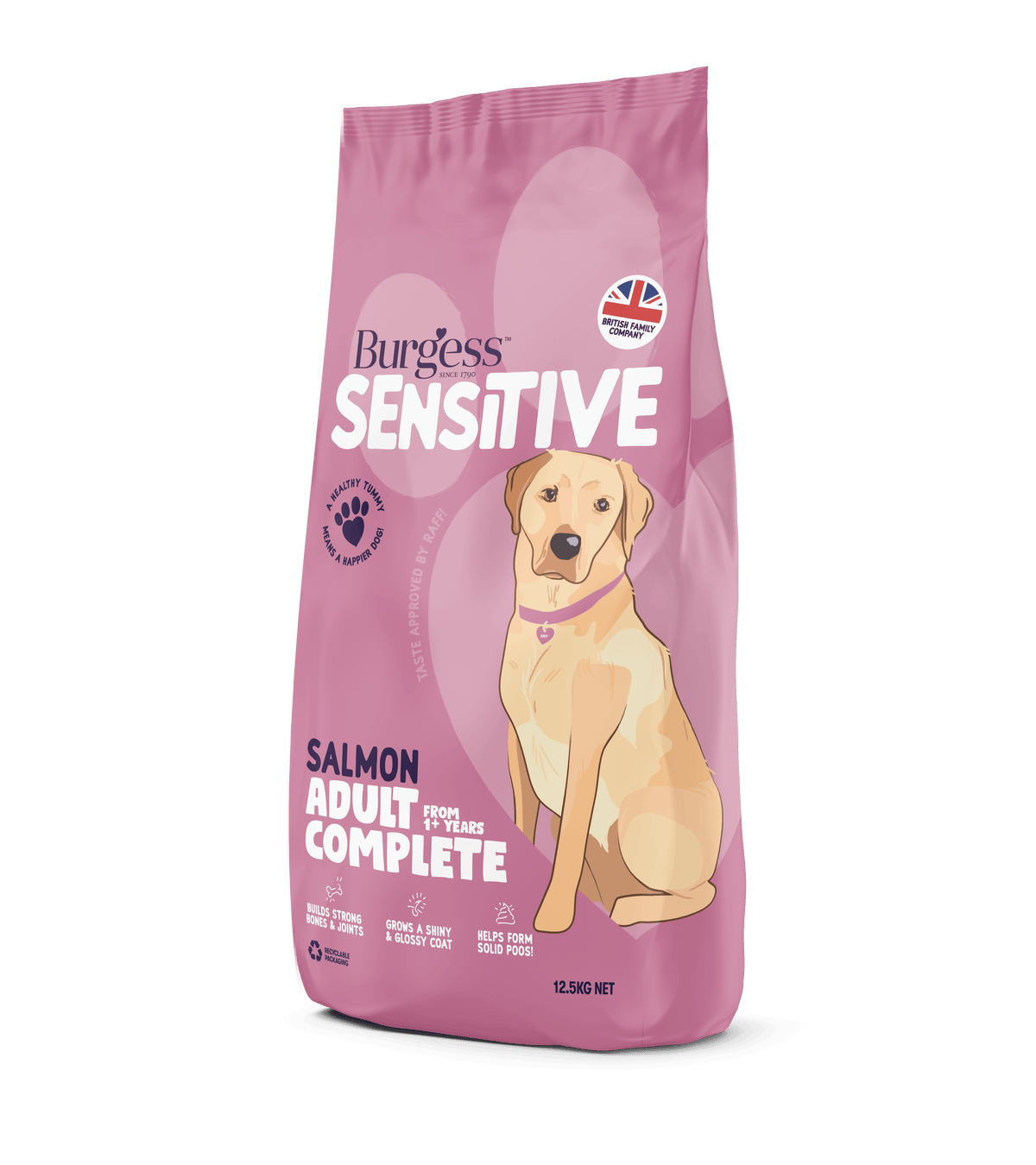 Burgess Sensitive Dog Salmon & Rice 2kg