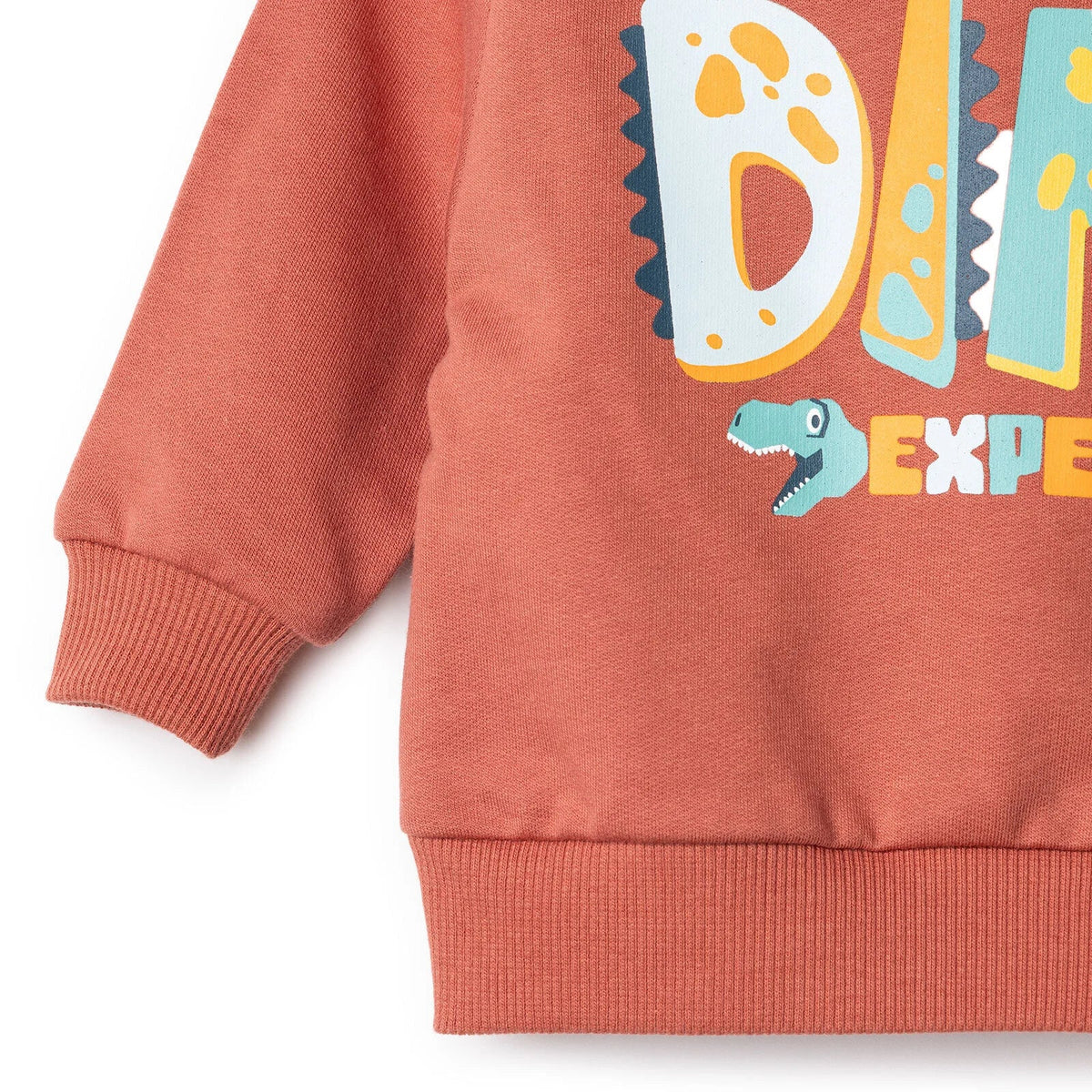 HelloBaby "Little Dino Expert" Slogan Brushed Baby Sweatshirt & Joggers Set (3-6 Months to 4-5 Years)