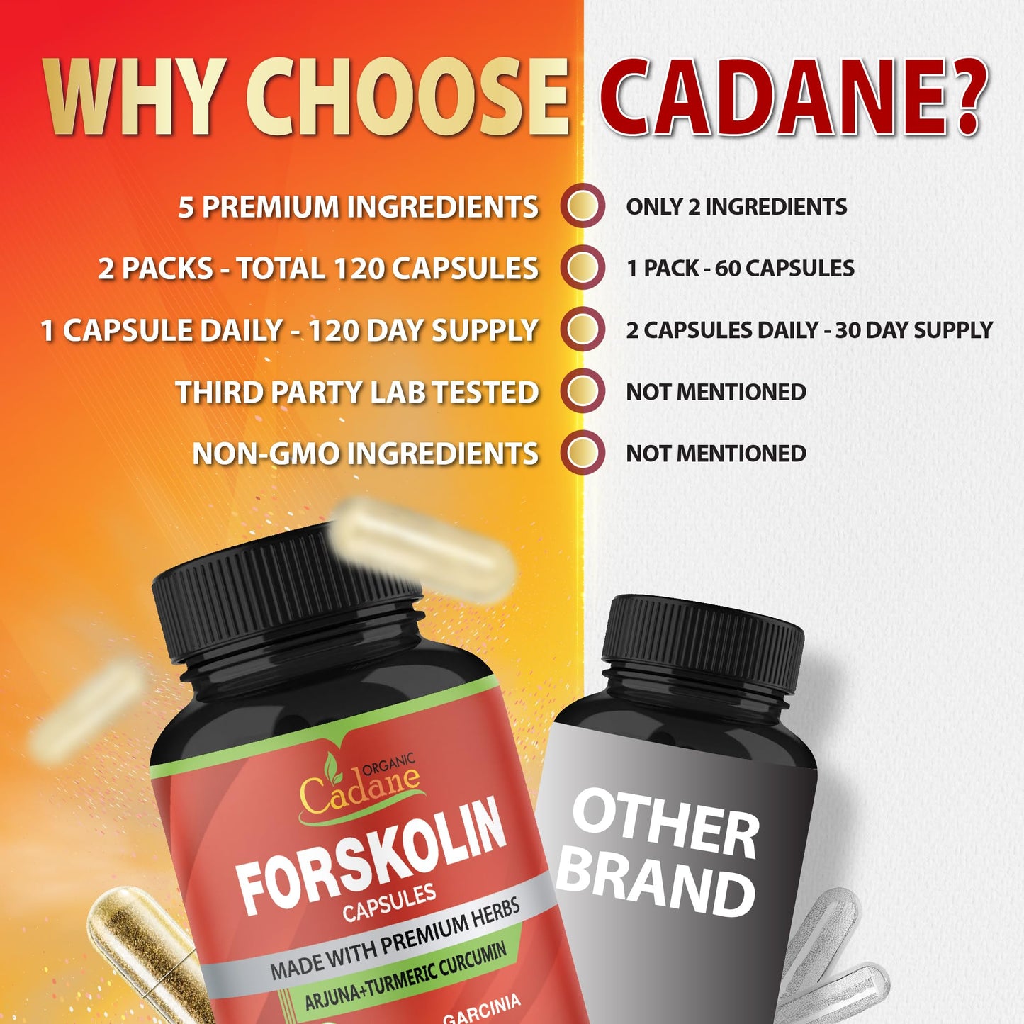 Cadane Forskolin Capsules – 2 Packs with Turmeric, Arjuna, Garcinia Cambogia & Green Tea | 4 Months Supply