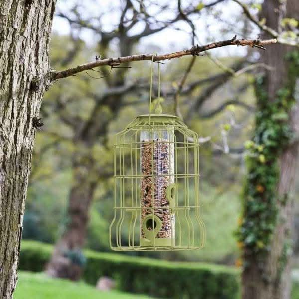Caged Bird Seed Feeder Squirrel Guard Pastel Green 24cm
