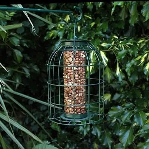 Caged Nut Bird Feeder with Squirrel Guard Metal Hanging Design