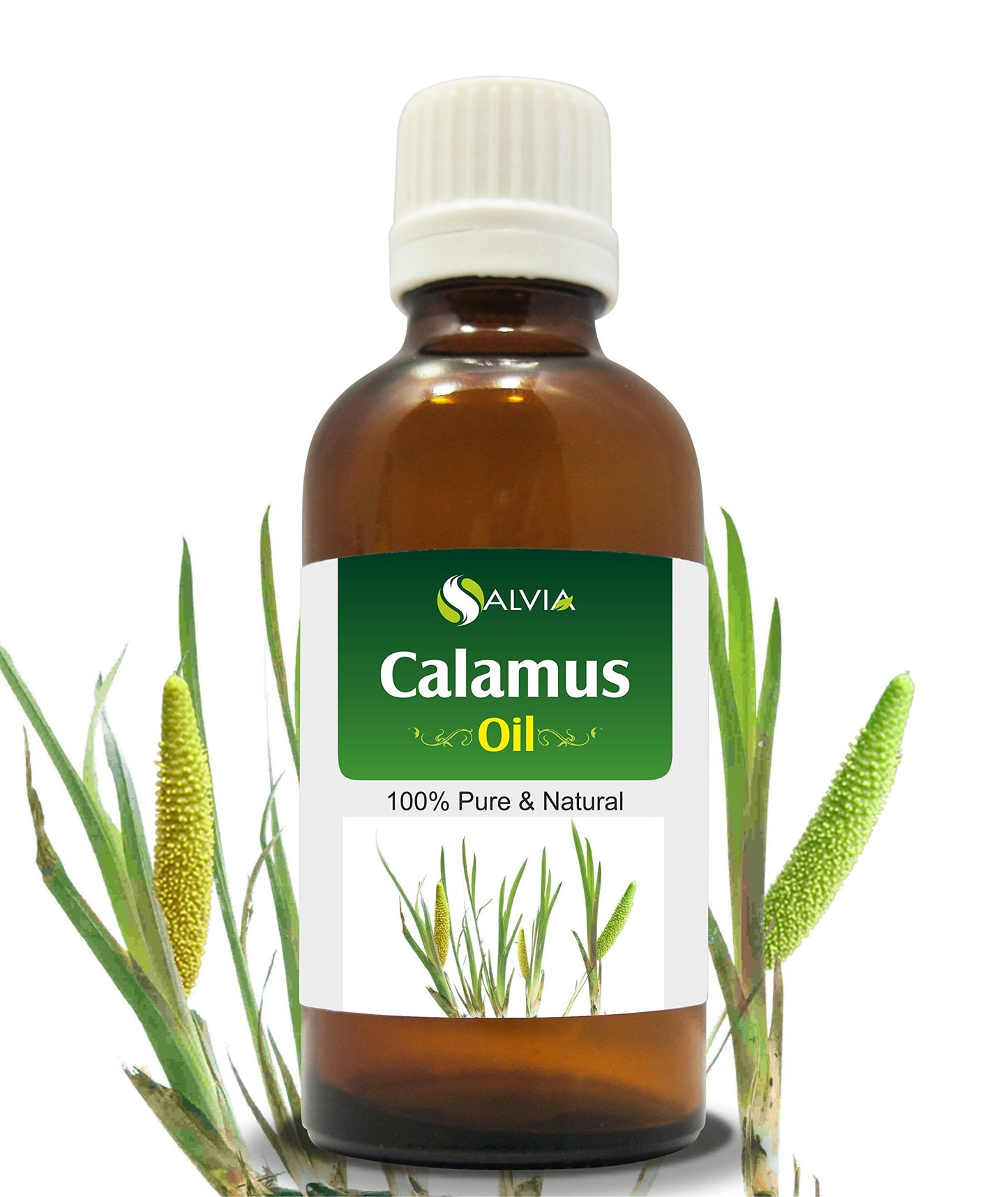 Calamus Oil (Acorus Calamus) Therapeutic Essential Oil – Salvia Amber Bottle 30ML