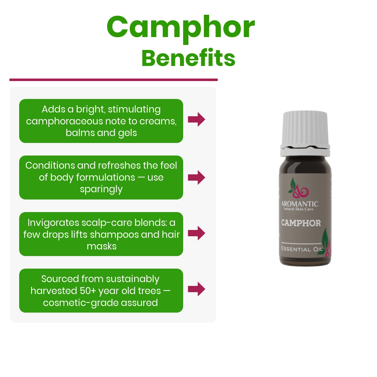 Camphor Essential Oil