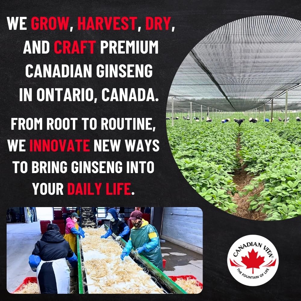 Canadian Vita Ginseng Root Slices – Premium Ontario Dried Ginseng for Tea & Energy