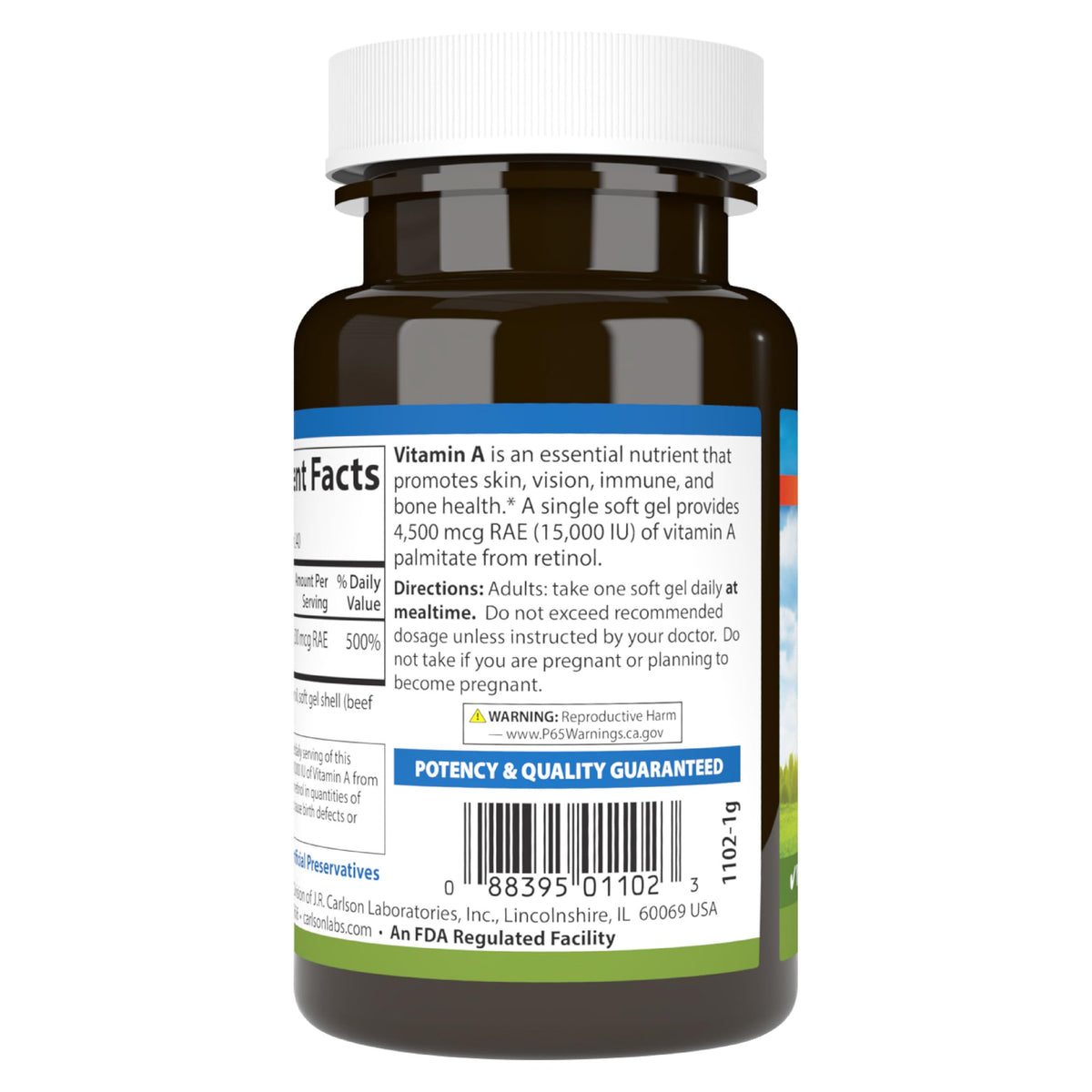 Carlson Vitamin A Palmitate 15000 IU (4500 mcg RAE) - Vision Health, Skin & Immune Support | 240 Softgels (Pack of 2)