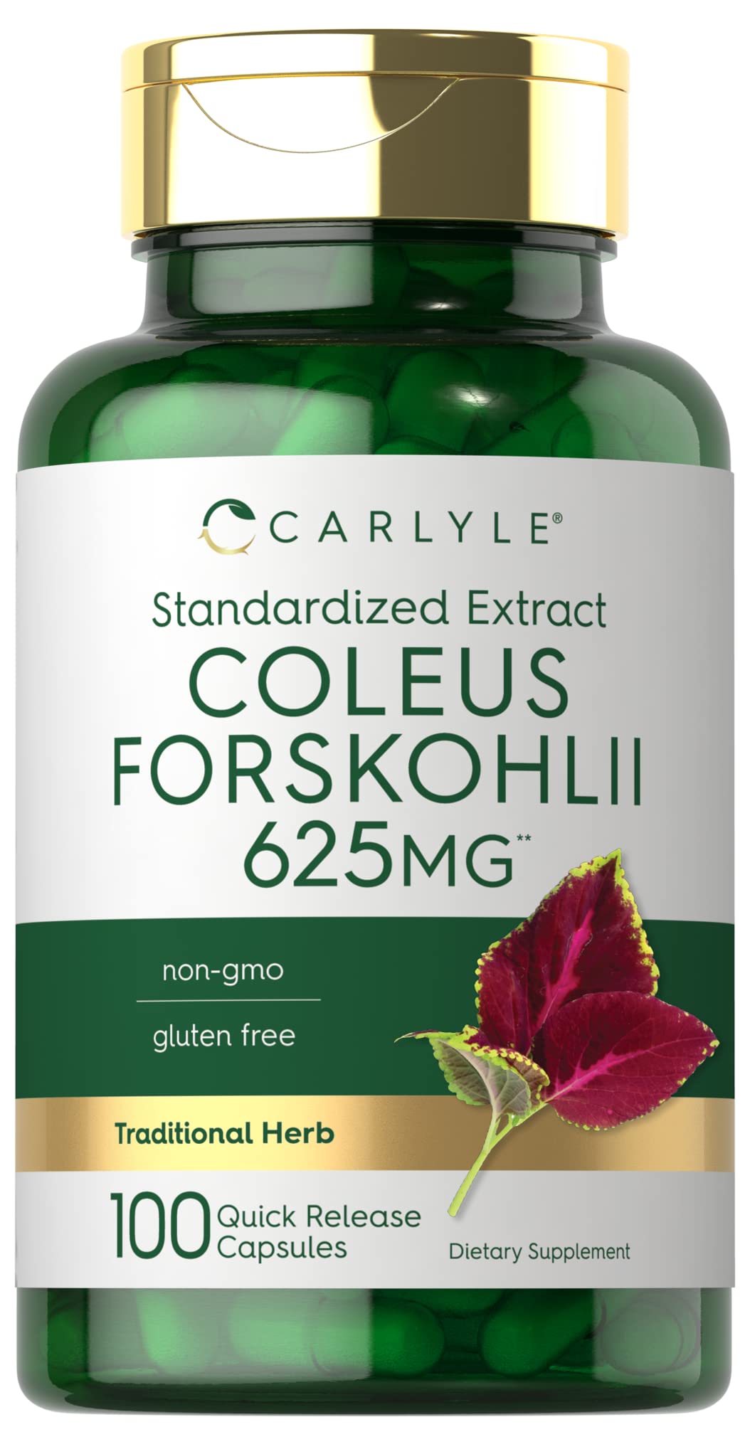Carlyle Coleus Forskohlii Capsules | 625mg | 100 Count | Non-GMO & Gluten Free Standardized Extract | Forskolin Supplement