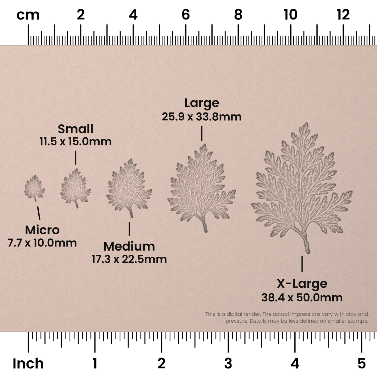 Cedar Leaf Stamps - Photo Textured