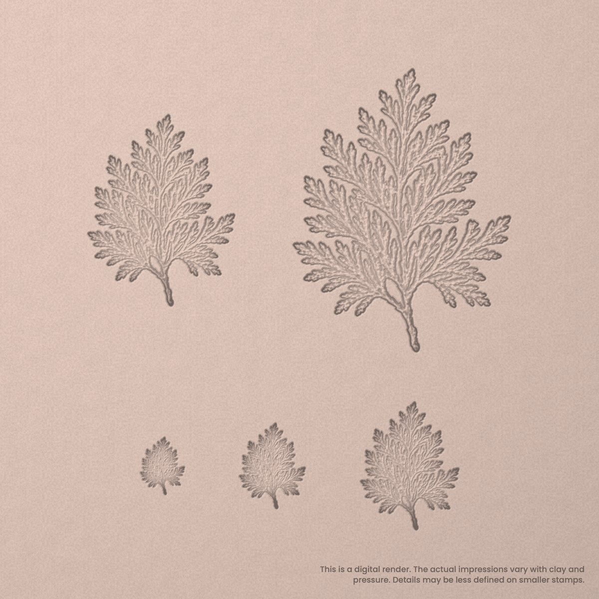 Cedar Leaf Stamps - Photo Textured