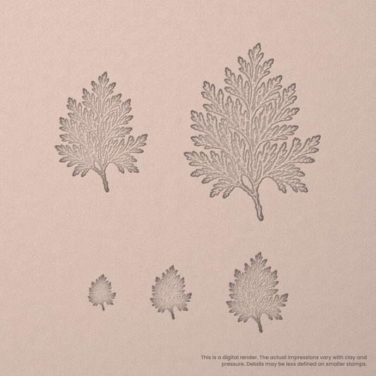 Cedar Leaf Stamps - Photo Textured