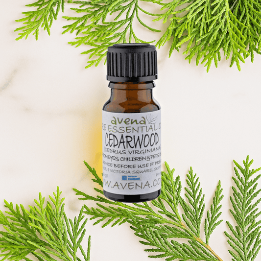 Cedarwood Essential Oil (Cedrus virginiana) – Woody Aromatherapy Oil