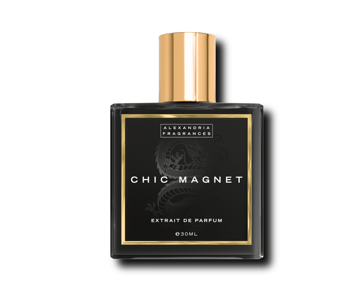 Chic Magnet Inspired By Magnetism Escada