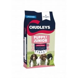 Chudleys Puppy / Junior