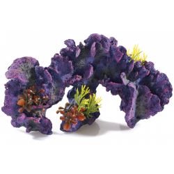 Classic Coral Garden Large