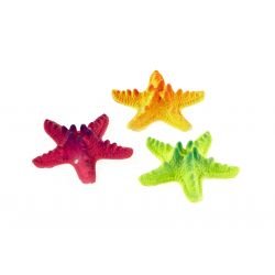 Classic Fluorescent Starfish