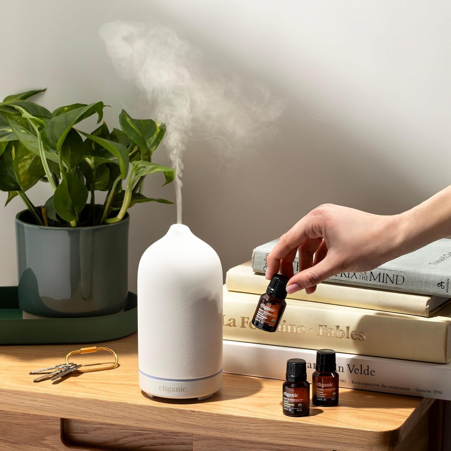 Cliganic Organic Essential Oils Gift Set (Top 4 - The Basics - Pack of 2)