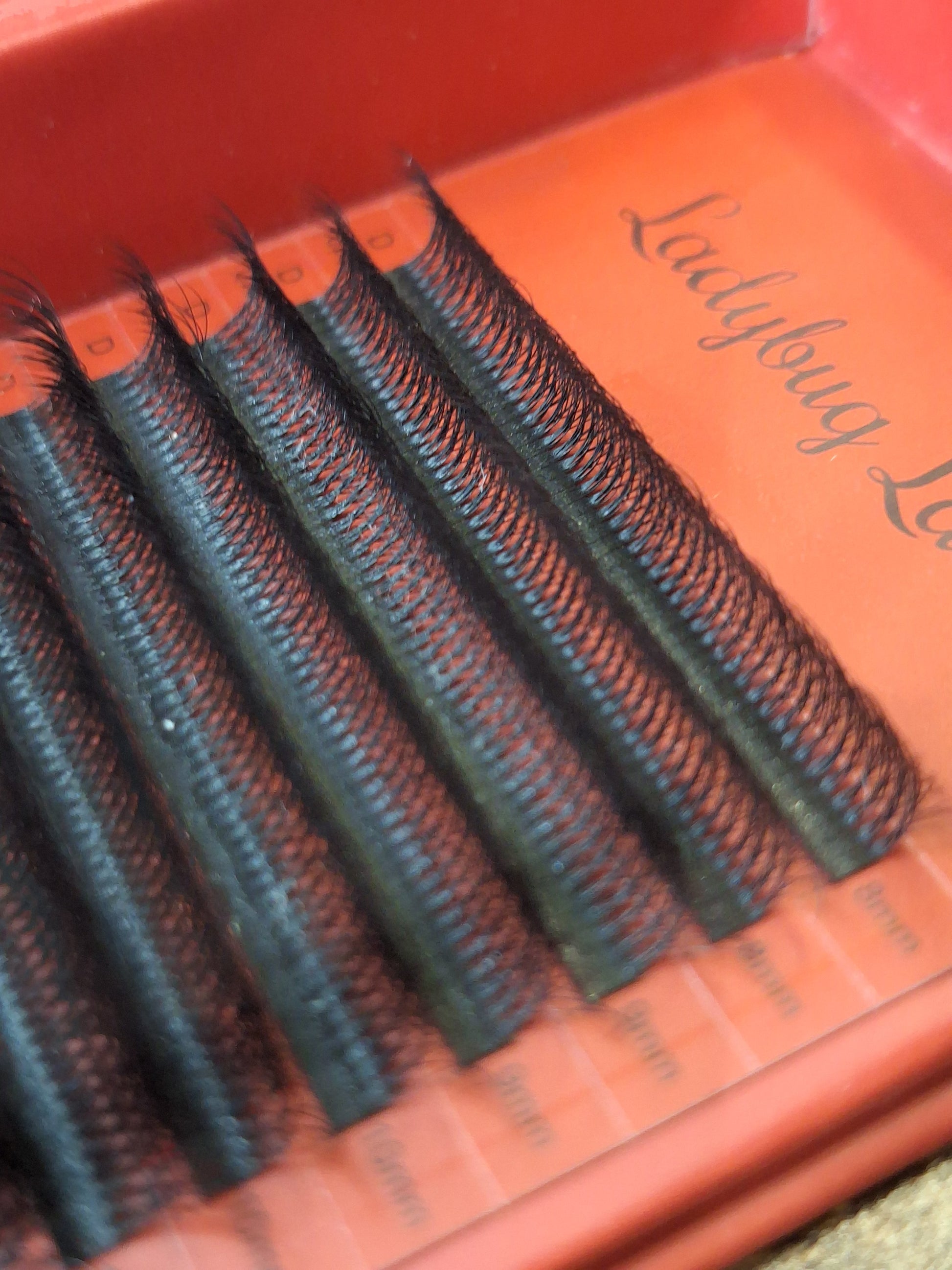 10D Clover Lash Mixed Tray