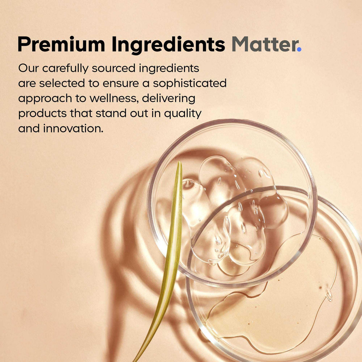 Codeage SBO Probiotics: 100 Billion CFUs, 6 Strains, Organic Fermented Botanicals, Shelf-Stable, 90 Capsules