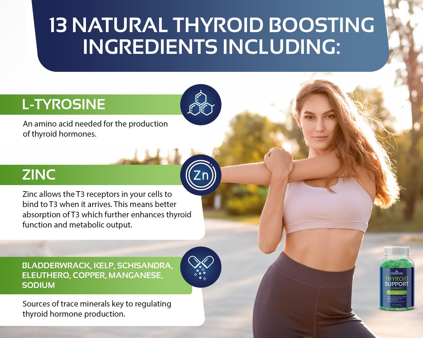 CogniTune Thyroid Support for Women and Men – Apple Flavor Gummies with Iodine, Kelp, Ashwagandha