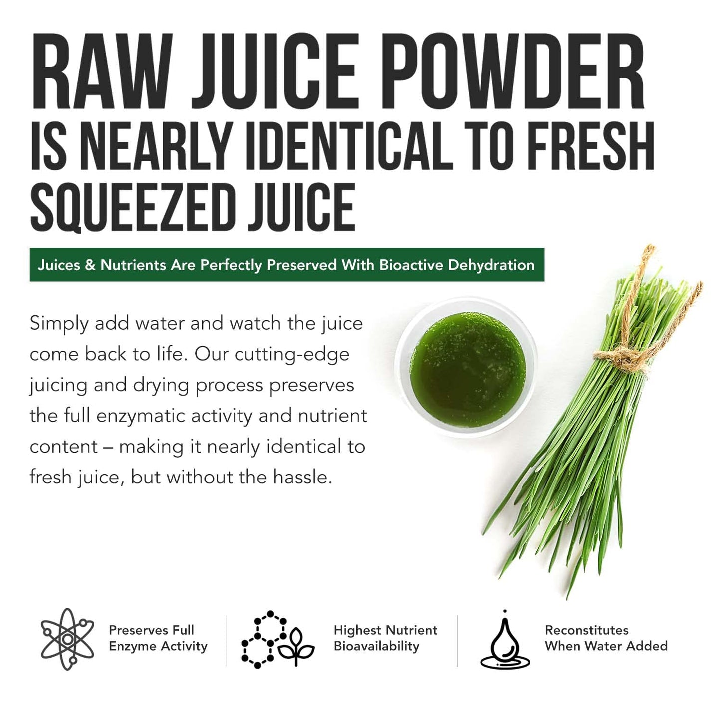 Organic Barley Grass Juice Powder – Utah Volcanic Soil, Raw & BioActive, Cold-Pressed CO2 Dried, Gluten Free, GMO Free, Vegan – 5.3 oz