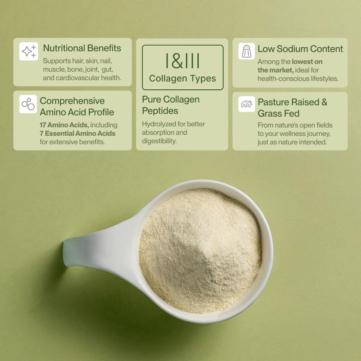 Colla Vita Collagen Peptides Powder - Grass-Fed, Pasture-Raised, Hydrolyzed Type I and III - Unflavored, 32 oz, 90 Servings