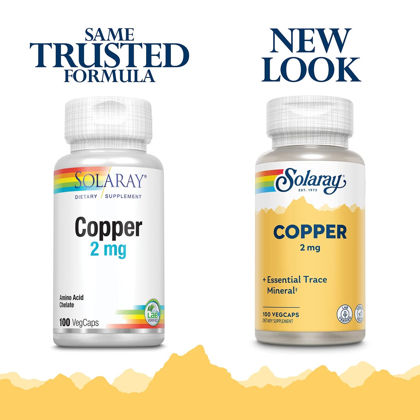 Solaray Copper 2 mg | Immune & Nerve Support | Red Blood Cell Formation | Non-GMO | 100ct