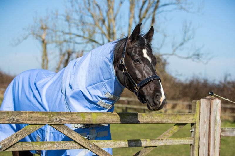 50g Detachable Neck Turnout Rug - Cornflower