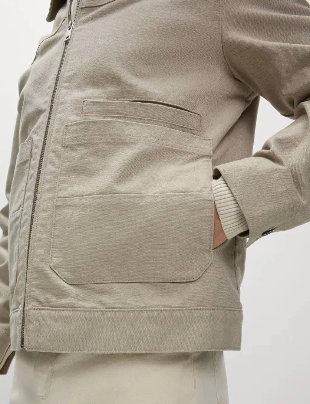 Cotton Rich Canvas Harrington Jacket