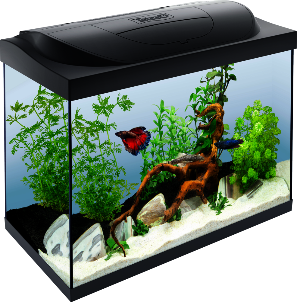 Tetra Starter Line 30L Goldfish Tank with Filter & LED