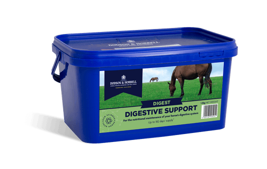 D & H Digestive Support