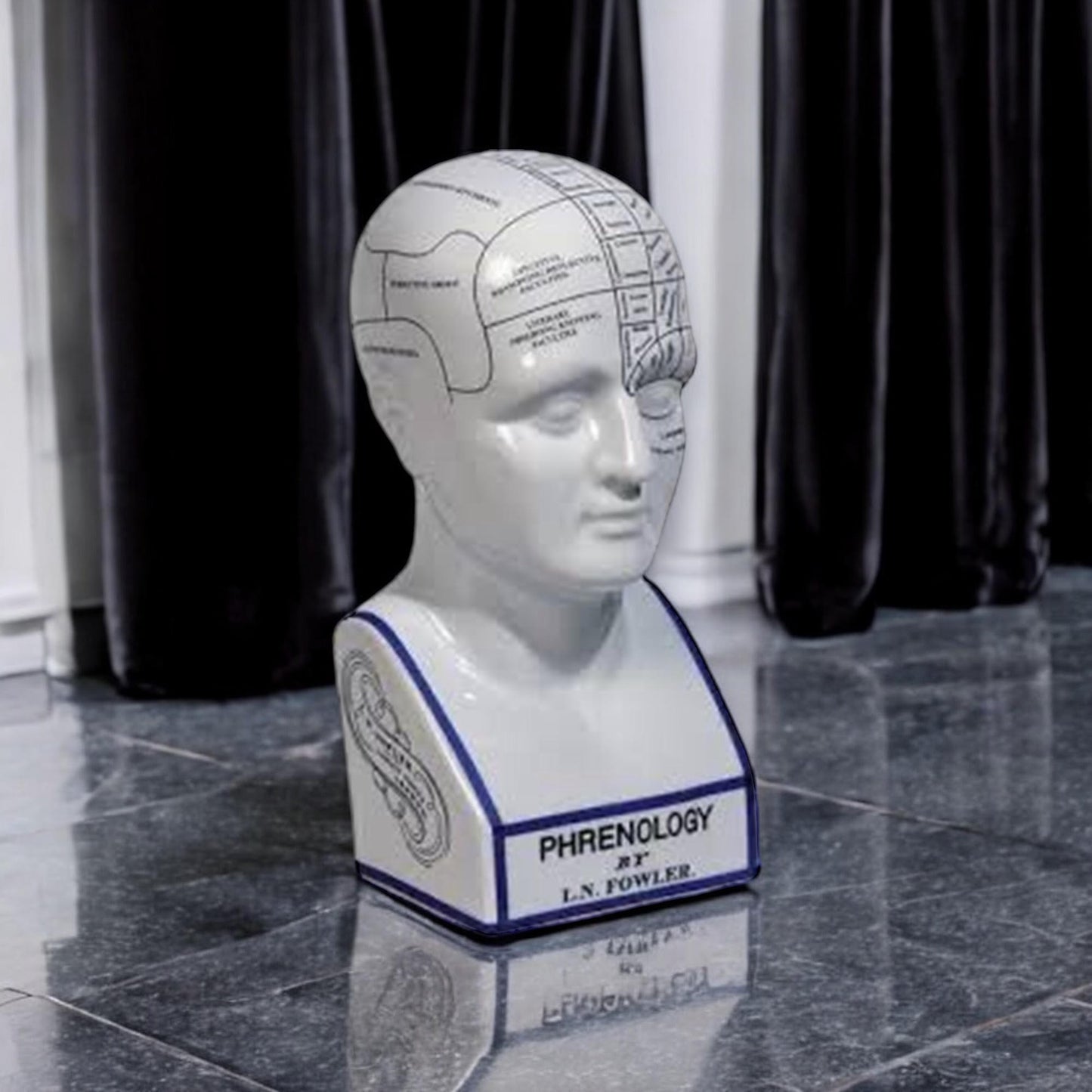 16" PHRENOLOGY HEAD Home Decor